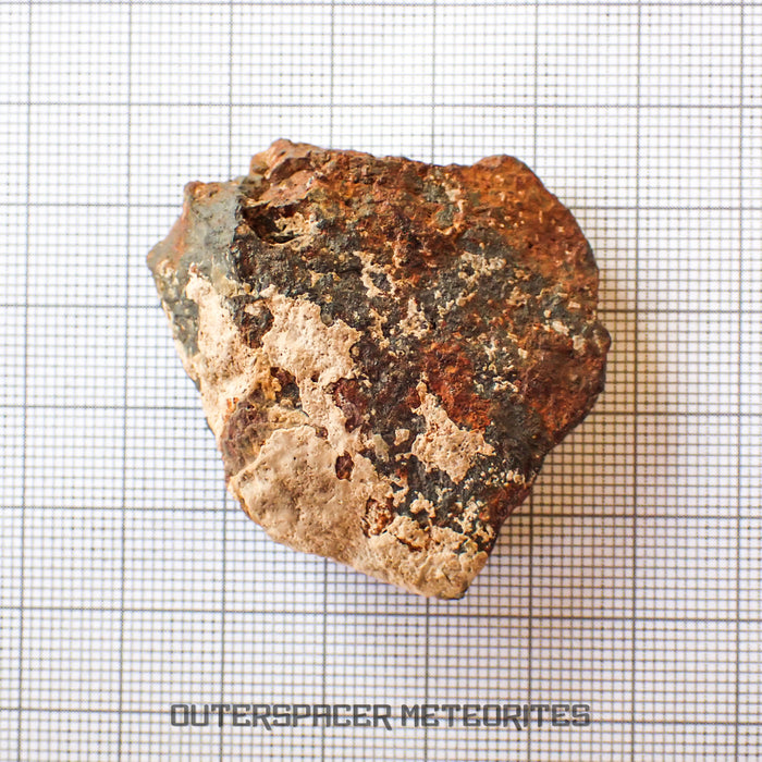 Tsarev - L5 Ordinary Chondrite - Complete Individual - 45g - Russia (Volgograd)