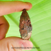 Tsarev - L5 Ordinary Chondrite - Complete Individual - 45g - Russia (Volgograd)