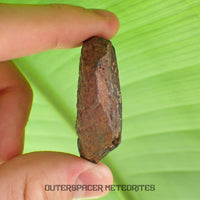 Tsarev - L5 Ordinary Chondrite - Complete Individual - 45g - Russia (Volgograd)