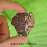 Tsarev - L5 Ordinary Chondrite - Complete Individual - 45g - Russia (Volgograd)