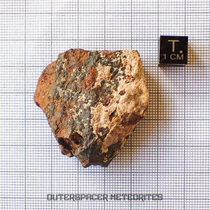 Tsarev - L5 Ordinary Chondrite - Complete Individual - 45g - Russia (Volgograd)