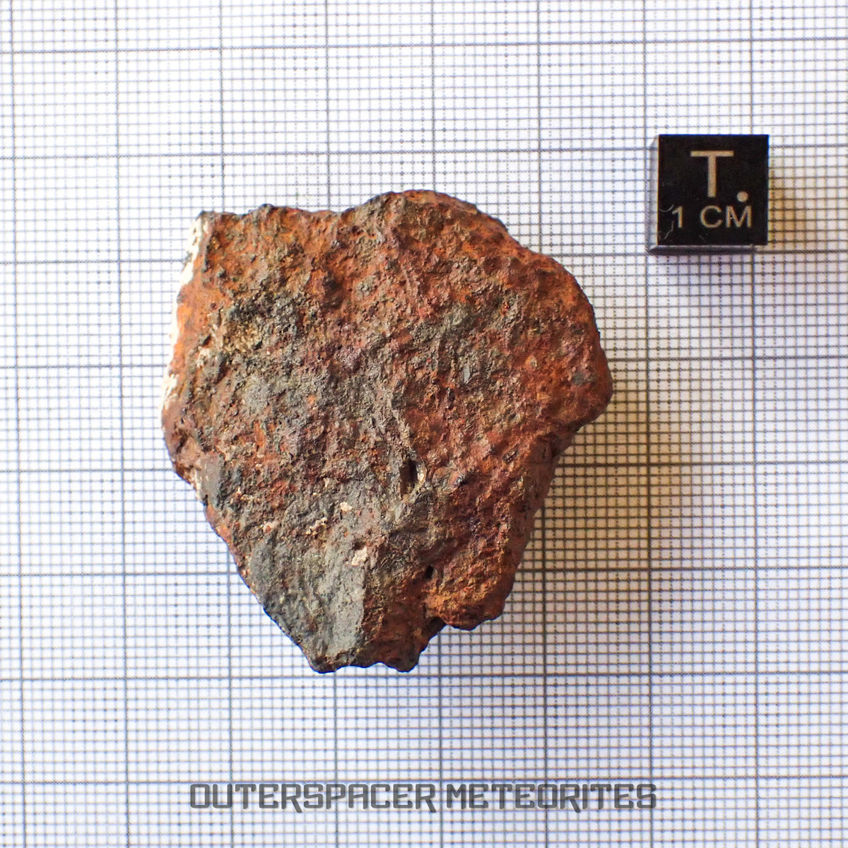 Tsarev - L5 Ordinary Chondrite - Complete Individual - 45g - Russia (Volgograd)