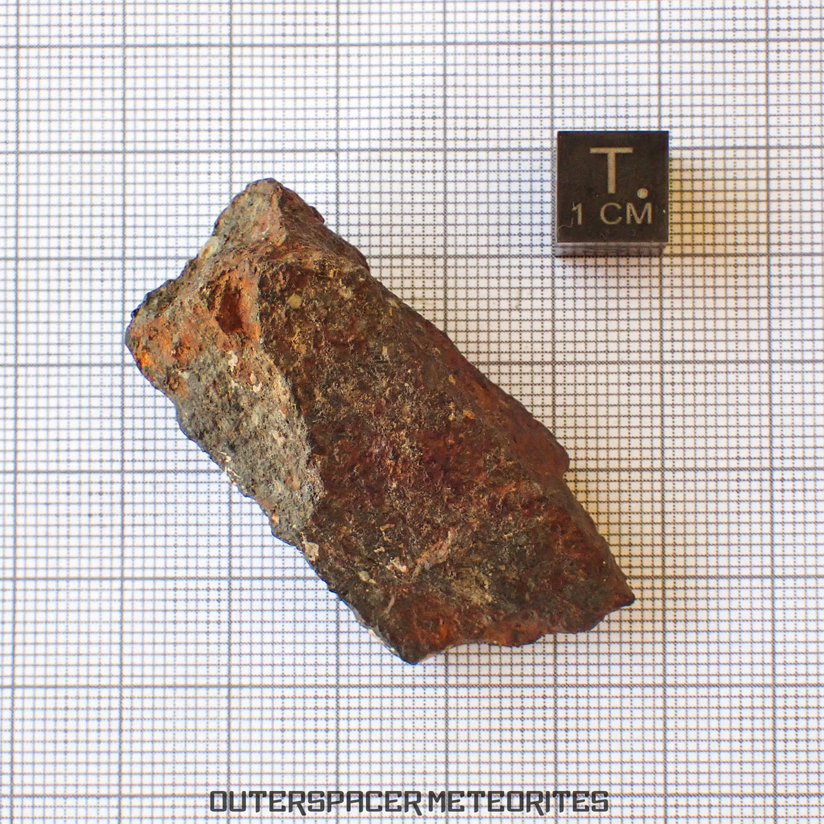 Tsarev - Chondrite Ordinaire L5 - Individu Complet - 39g - Russie (Volgograd)