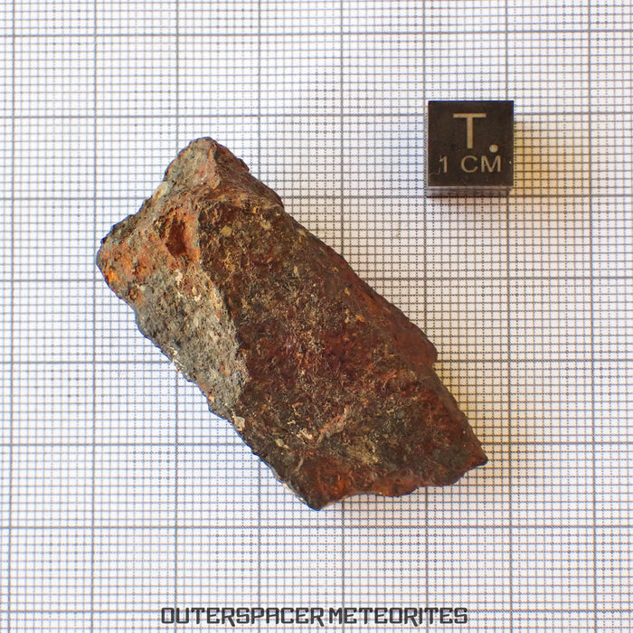 Tsarev - L5 Ordinary Chondrite - Complete Individual - 39g - Russia (Volgograd)