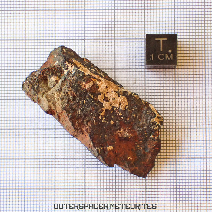 Tsarev - L5 Ordinary Chondrite - Complete Individual - 39g - Russia (Volgograd)