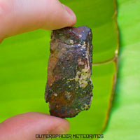 Tsarev - Chondrite Ordinaire L5 - Individu Complet - 39g - Russie (Volgograd)