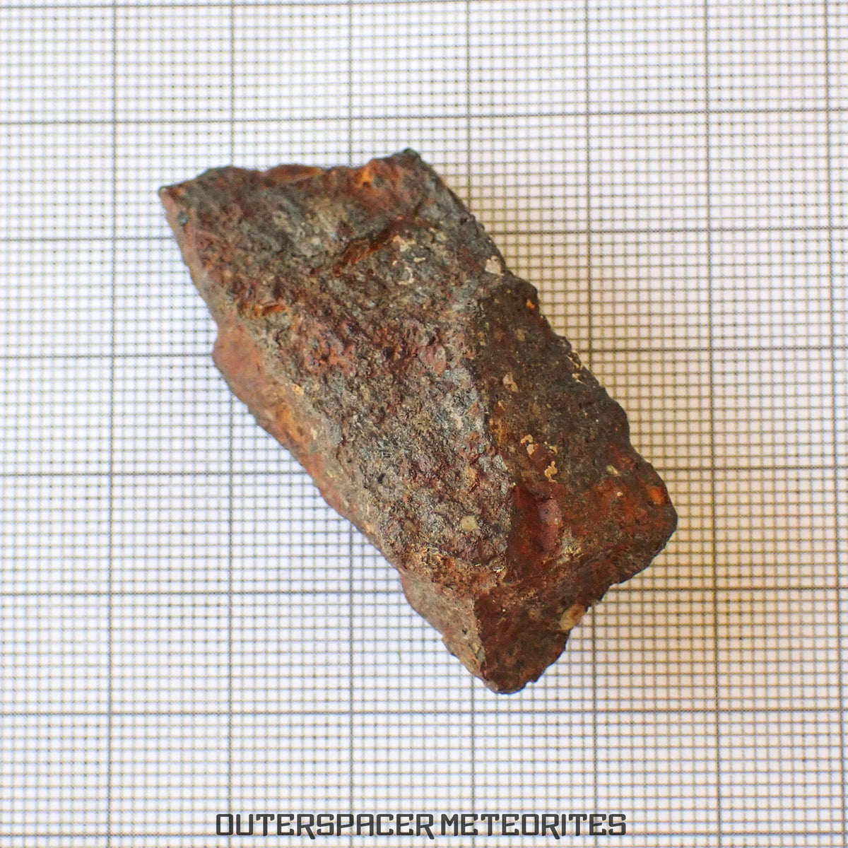 Tsarev - Chondrite Ordinaire L5 - Individu Complet - 39g - Russie (Volgograd)