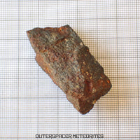 Tsarev - Chondrite Ordinaire L5 - Individu Complet - 39g - Russie (Volgograd)