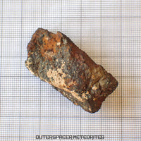 Tsarev - Chondrite Ordinaire L5 - Individu Complet - 39g - Russie (Volgograd)