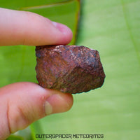 Tsarev - L5 Ordinary Chondrite - Complete Individual - 40g - Russia (Volgograd)