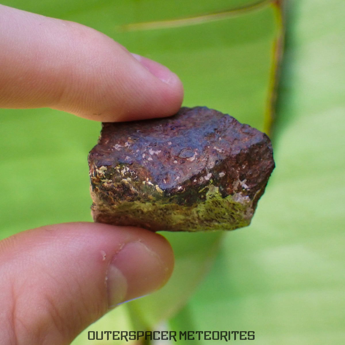 Tsarev - L5 Ordinary Chondrite - Complete Individual - 40g - Russia (Volgograd)
