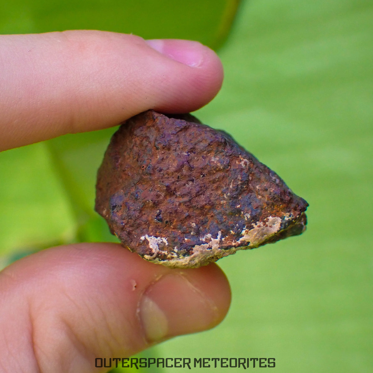 Tsarev - L5 Ordinary Chondrite - Complete Individual - 40g - Russia (Volgograd)
