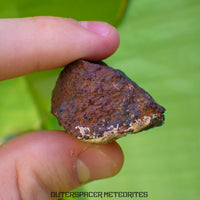 Tsarev - L5 Ordinary Chondrite - Complete Individual - 40g - Russia (Volgograd)