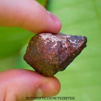 Tsarev - L5 Ordinary Chondrite - Complete Individual - 40g - Russia (Volgograd)