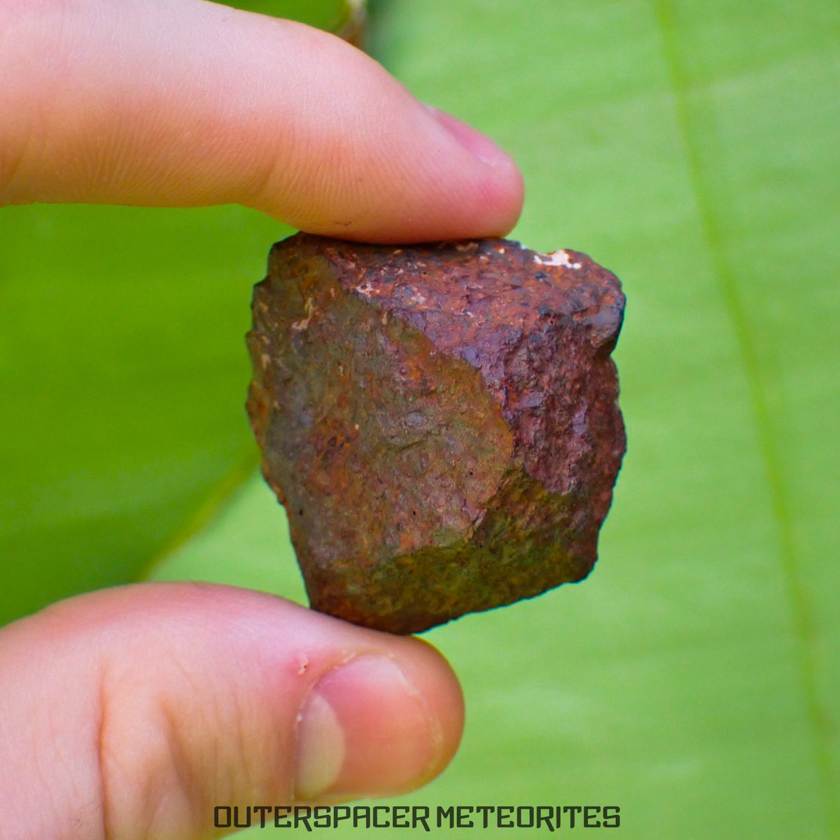 Tsarev - L5 Ordinary Chondrite - Complete Individual - 40g - Russia (Volgograd)