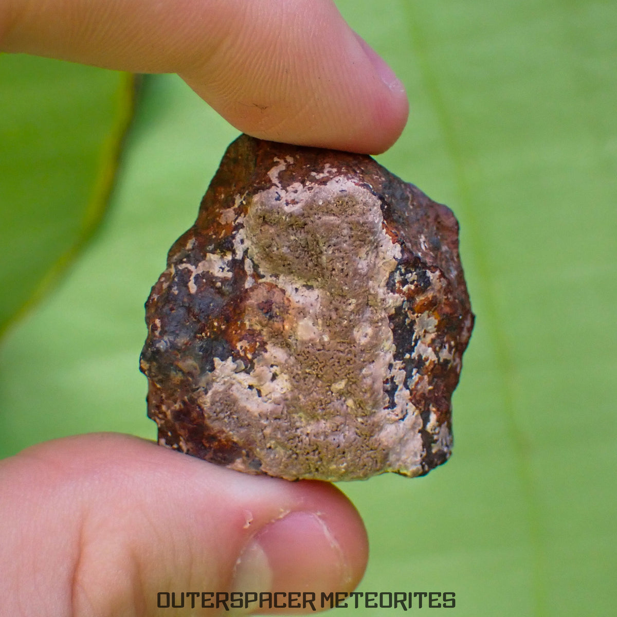 Tsarev - L5 Ordinary Chondrite - Complete Individual - 40g - Russia (Volgograd)