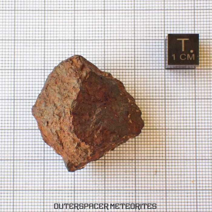 Tsarev - L5 Ordinary Chondrite - Complete Individual - 40g - Russia (Volgograd)