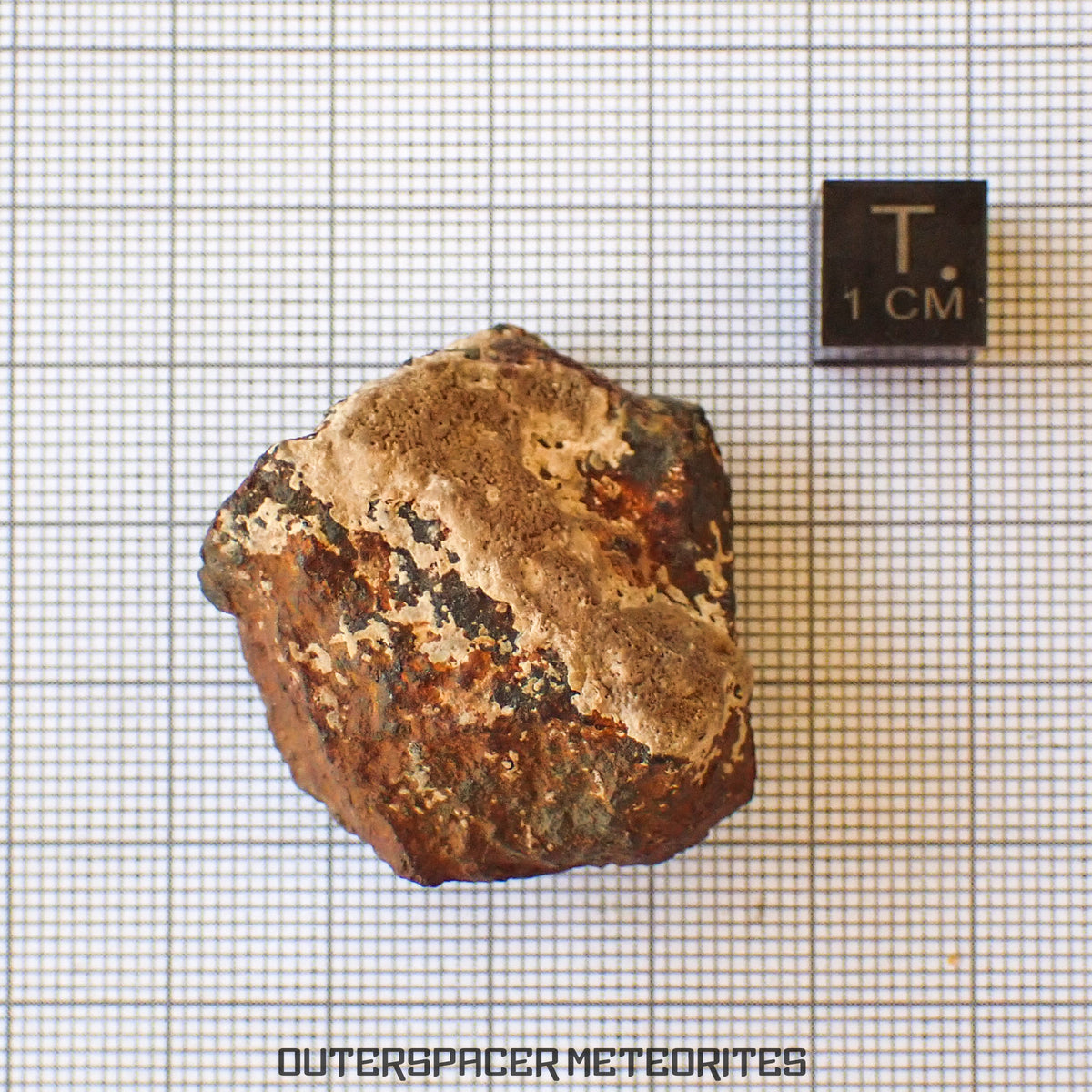 Tsarev - L5 Ordinary Chondrite - Complete Individual - 40g - Russia (Volgograd)