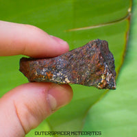 Tsarev - L5 Ordinary Chondrite - Complete Individual - 47.8g - Russia (Volgograd)