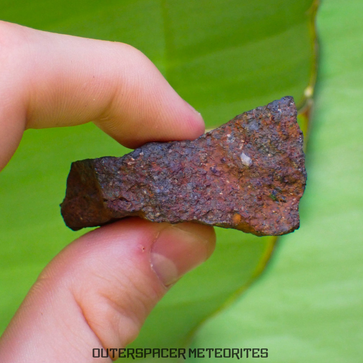 Tsarev - L5 Ordinary Chondrite - Complete Individual - 47.8g - Russia (Volgograd)