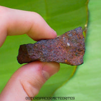 Tsarev - L5 Ordinary Chondrite - Complete Individual - 47.8g - Russia (Volgograd)