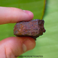 Tsarev - L5 Ordinary Chondrite - Complete Individual - 47.8g - Russia (Volgograd)