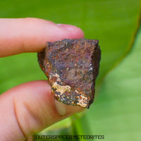 Tsarev - L5 Ordinary Chondrite - Complete Individual - 47.8g - Russia (Volgograd)