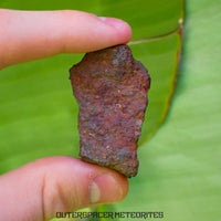 Tsarev - L5 Ordinary Chondrite - Complete Individual - 47.8g - Russia (Volgograd)