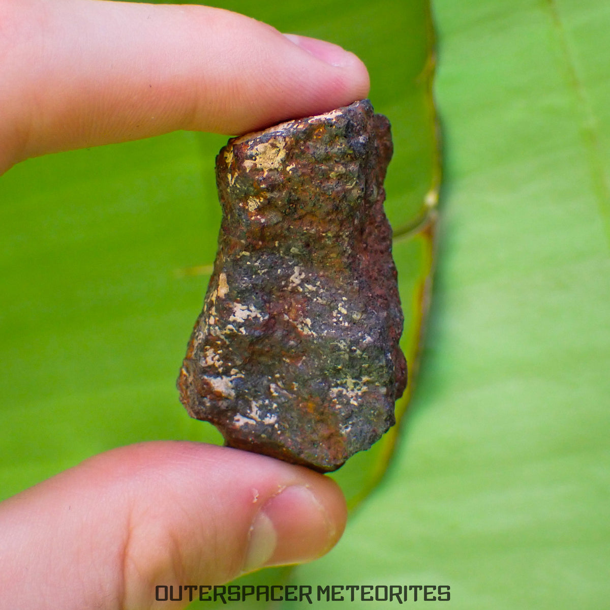 Tsarev - L5 Ordinary Chondrite - Complete Individual - 47.8g - Russia (Volgograd)