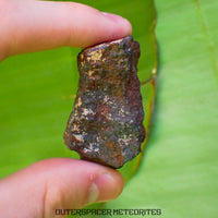 Tsarev - L5 Ordinary Chondrite - Complete Individual - 47.8g - Russia (Volgograd)
