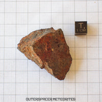 Tsarev - Chondrite Ordinaire L5 - Individu Complet - 67.2g - Russie (Volgograd)