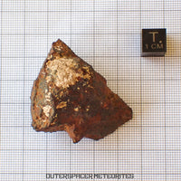 Tsarev - Chondrite Ordinaire L5 - Individu Complet - 67.2g - Russie (Volgograd)