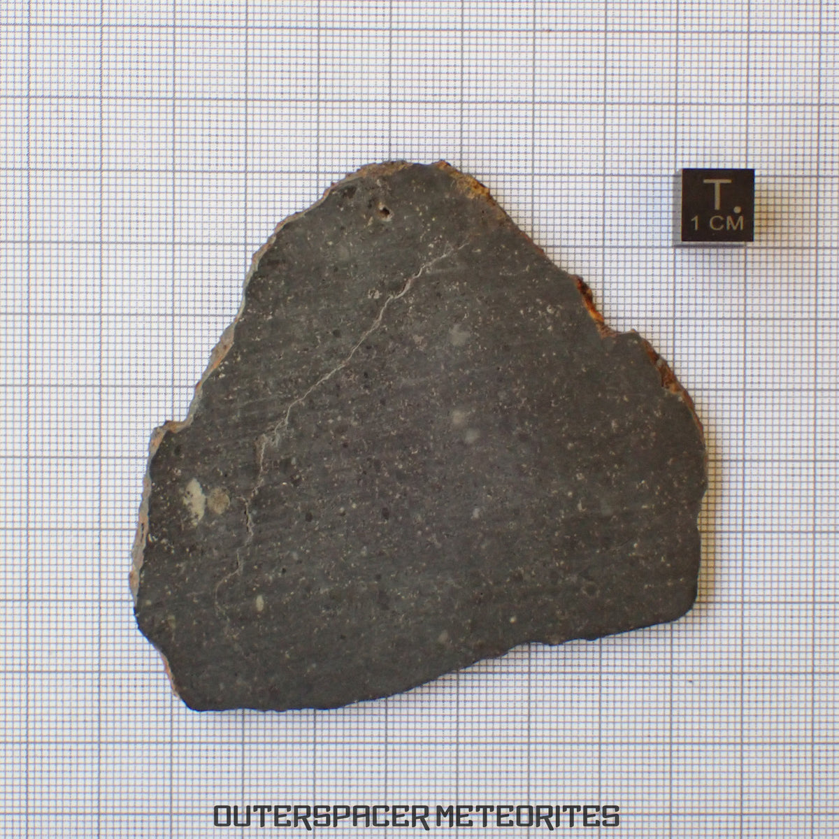 Tsarev - L5 Ordinary Chondrite - Complete Slice - 40.72g - Russia (Volgograd)