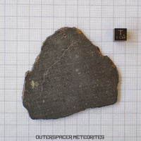Tsarev - L5 Ordinary Chondrite - Complete Slice - 40.72g - Russia (Volgograd)