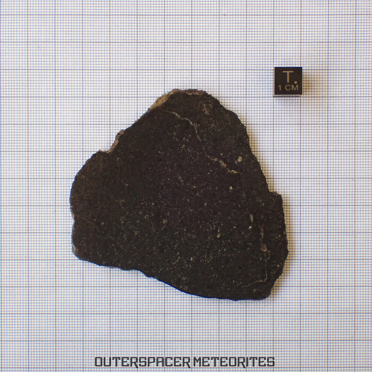 Tsarev - L5 Ordinary Chondrite - Complete Slice - 40.72g - Russia (Volgograd)