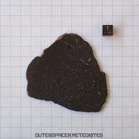 Tsarev - L5 Ordinary Chondrite - Complete Slice - 40.72g - Russia (Volgograd)