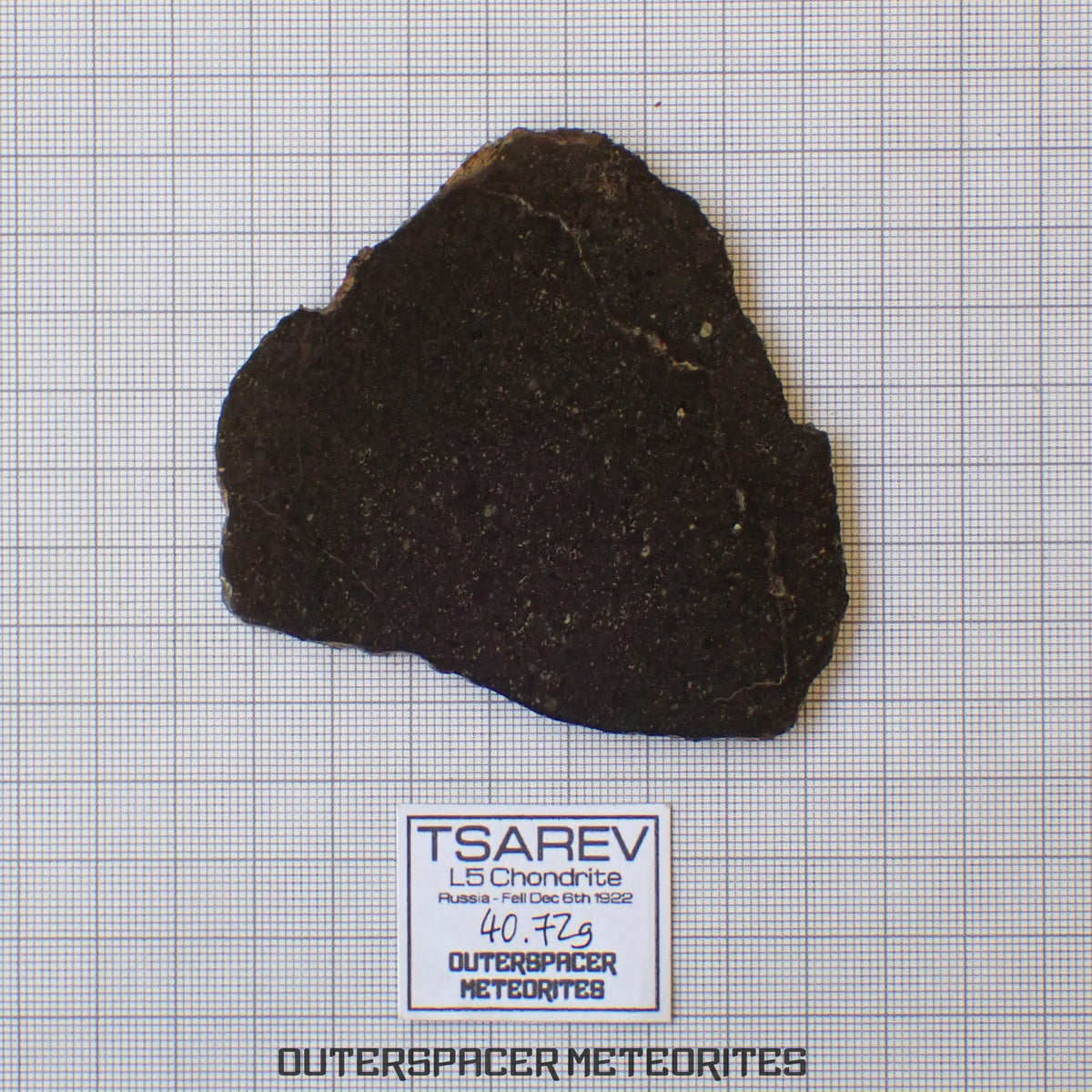 Tsarev - L5 Ordinary Chondrite - Complete Slice - 40.72g - Russia (Volgograd)
