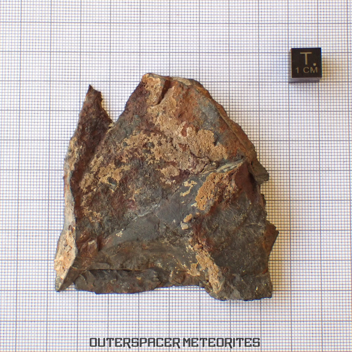 Tsarev - Chondrite Ordinaire L5 - Tranche terminale - 105.36g - Russie (Volgograd)