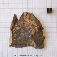 Tsarev - Chondrite Ordinaire L5 - Tranche terminale - 105.36g - Russie (Volgograd)