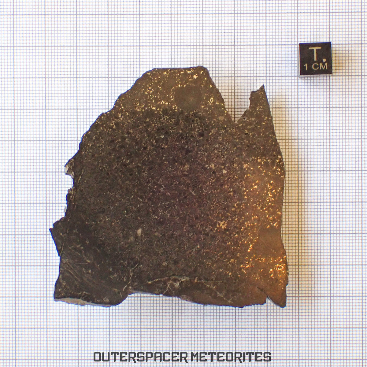 Tsarev - Chondrite Ordinaire L5 - Tranche terminale - 105.36g - Russie (Volgograd)