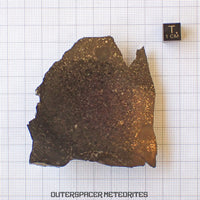 Tsarev - Chondrite Ordinaire L5 - Tranche terminale - 105.36g - Russie (Volgograd)