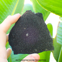 Tsarev - Chondrite Ordinaire L5 - Tranche Complète - 49.43g - Russie (Volgograd)