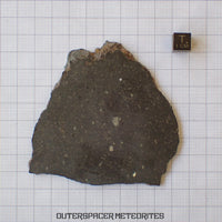 Tsarev - Chondrite Ordinaire L5 - Tranche Complète - 49.43g - Russie (Volgograd)