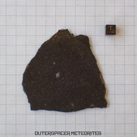 Tsarev - Chondrite Ordinaire L5 - Tranche Complète - 49.43g - Russie (Volgograd)