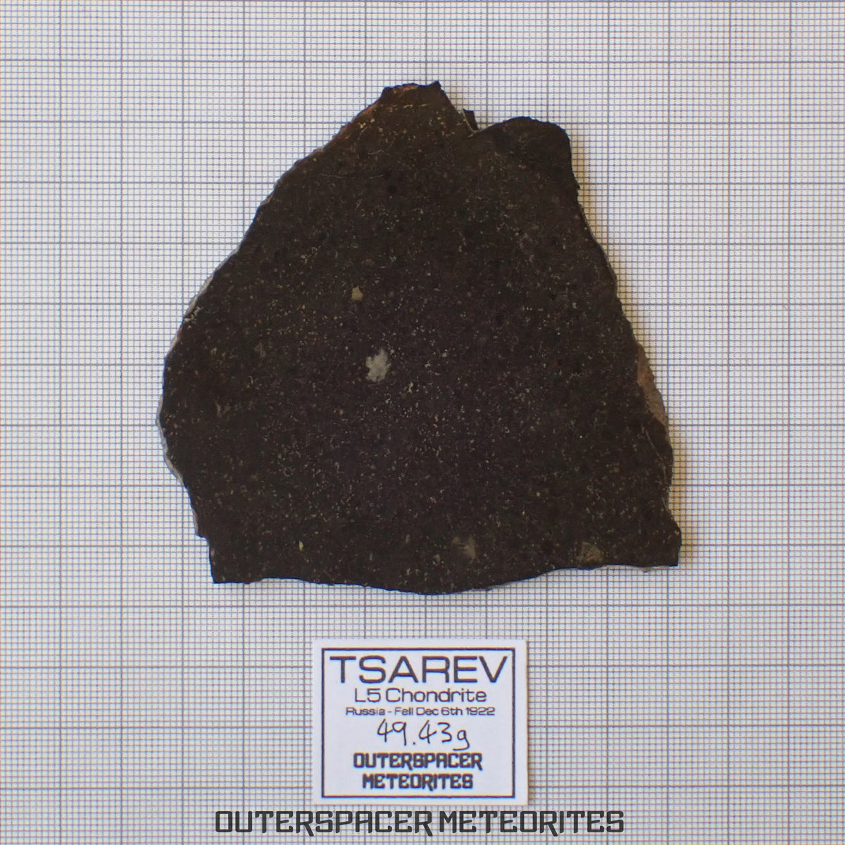 Tsarev - Chondrite Ordinaire L5 - Tranche Complète - 49.43g - Russie (Volgograd)