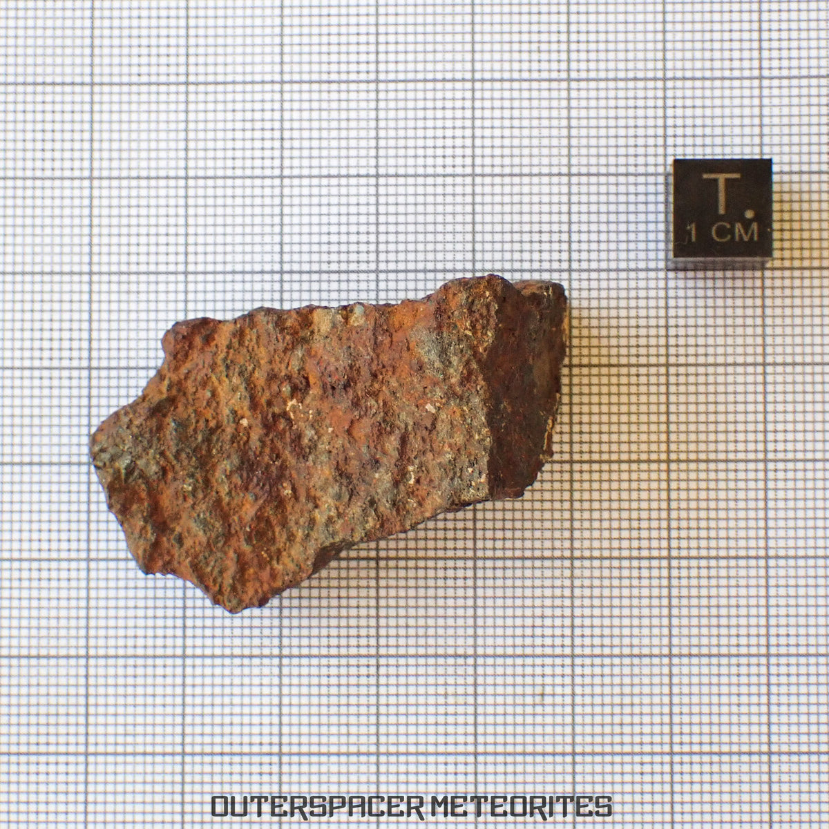 Tsarev - L5 Ordinary Chondrite - Complete Individual - 47.8g - Russia (Volgograd)