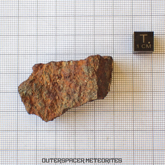 Tsarev - Condrita Ordinaria L5 - Individual Completo - 47.8g - Rusia (Volgogrado)
