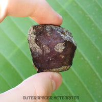 Viñales (aussi appelée Vinales) - Chondrite ordinaire L6 - Fragment complet - 52,61g - Cuba