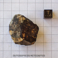 Viñales (aussi appelée Vinales) - Chondrite ordinaire L6 - Fragment complet - 52,61g - Cuba