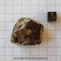 Viñales (aussi appelée Vinales) - Chondrite ordinaire L6 - Fragment complet - 52,61g - Cuba